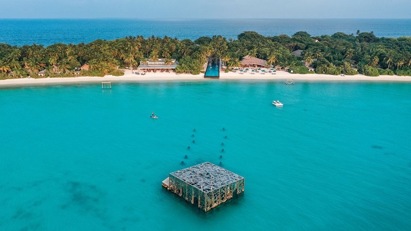 Coralarium nằm đối diện với hồ bơi dài nhất ở Maldives, trải dài 200 mét qua giữa đảo.