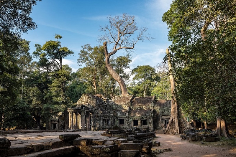 Được khai hoang bởi rừng rậm, Ta Prohm là một trong những ngôi đền tuyệt đẹp nhất ở Angkor