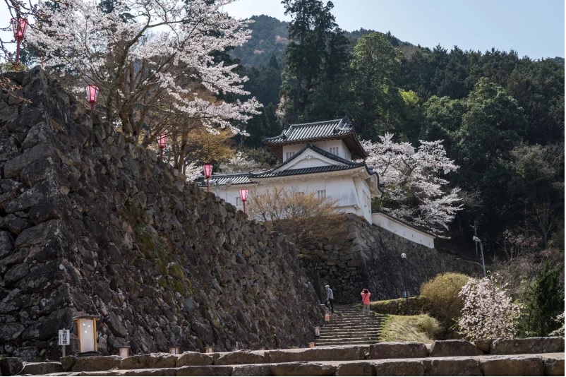 Izushi nổi bật với những tàn tích lâu đài rêu phong và công trình tái thiết từ thế kỷ 20.