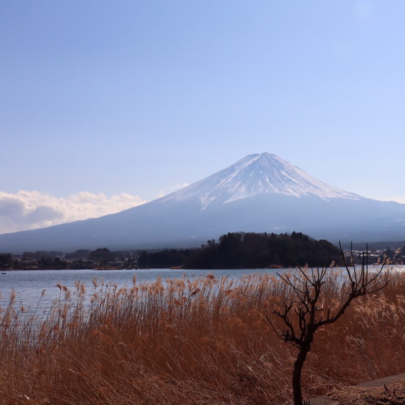 5 lời khuyên khi đến thăm núi Phú Sĩ của Nhật Bản