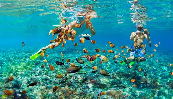 Lặn biển ở vùng biển nhiệt đới của Bali được bao quanh bởi vẻ đẹp lộng lẫy là 1 trong những điều thú vị để làm ở Bali