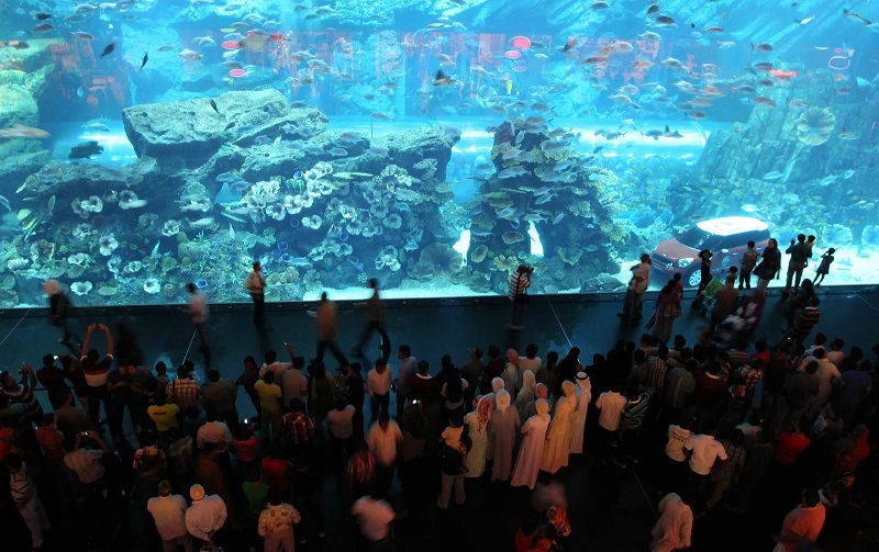 Thủy cung Dubai và Sở thú dưới nước ở Trung tâm thương mại Dubai