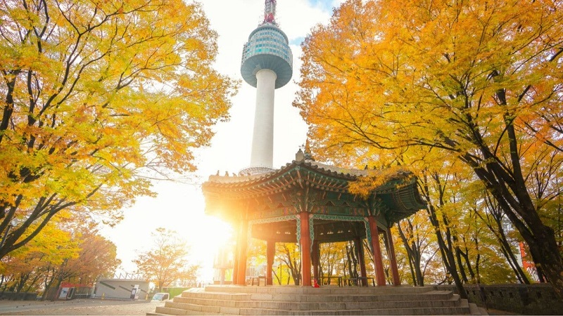 10 điều cần làm ở Seoul