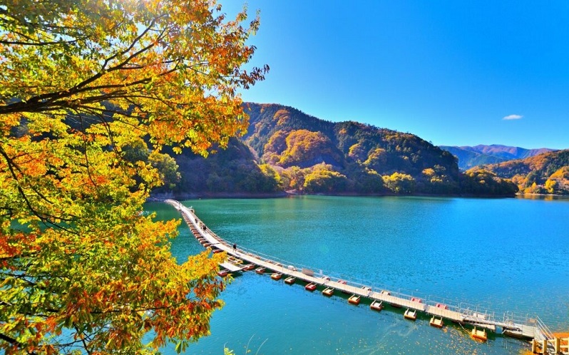 5 chuyến đi trong ngày vào mùa thu từ Tokyo