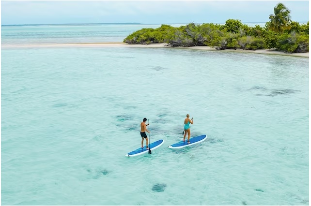 Các đầm nước ấm áp, yên tĩnh của Maldives là nơi lý tưởng để bạn trải nghiệm môn lướt ván bằng mái chèo.