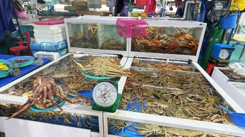 Bạn sẽ thấy nhiều quầy hàng bán cua hoàng đế ở Chợ cá Jumunjin.