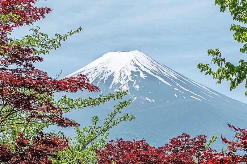 Các nhà chức trách ở Nhật Bản đang xem xét hạn chế số lượng khách du lịch leo núi Phú Sĩ linh thiêng của đất nước.