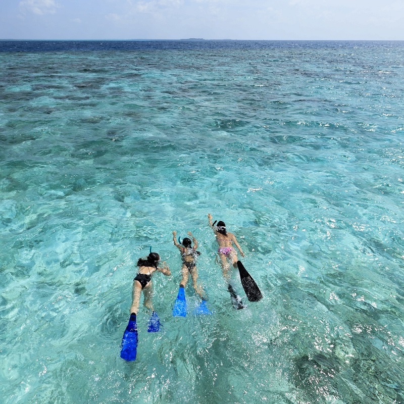 Maldives là nơi tuyệt vời để lặn với ống thở