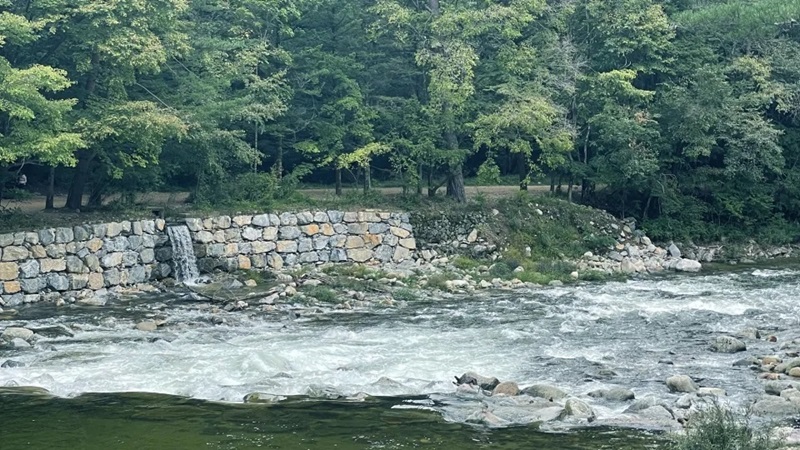 Woljeongsa nằm cạnh con sông rợp bóng cây linh sam ở Odaesan.