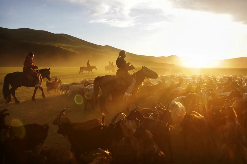 Những du khách thích phiêu lưu mạo hiểm sẽ luôn tìm thấy điều gì đó để yêu thích ở Mông Cổ.