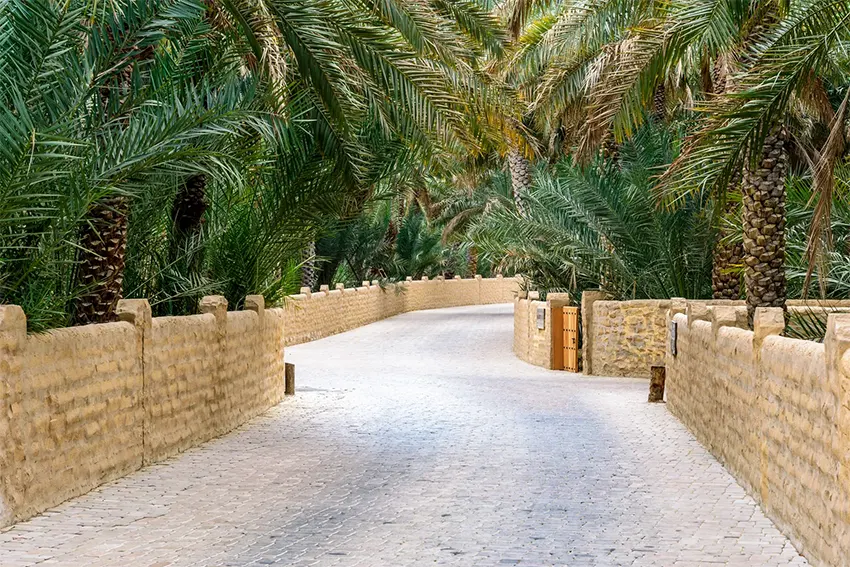 Ốc đảo Al Ain