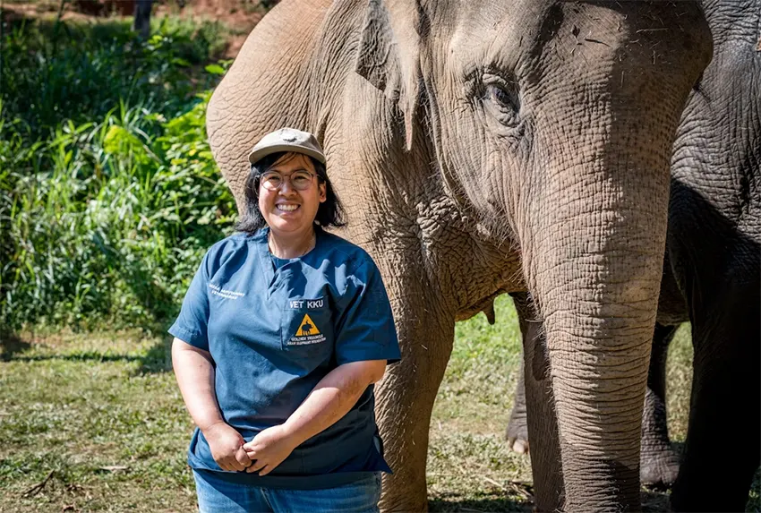 Tiến sĩ Nissa Mututanont là bác sĩ thú y tại chỗ ở Anantara, giúp chăm sóc 20 con voi ở đây