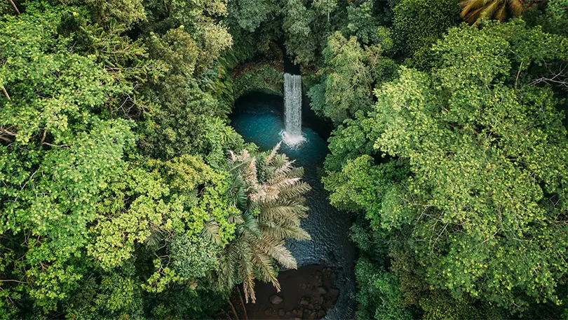 17 điều tuyệt vời nhất nên làm ở Ubud, Bali