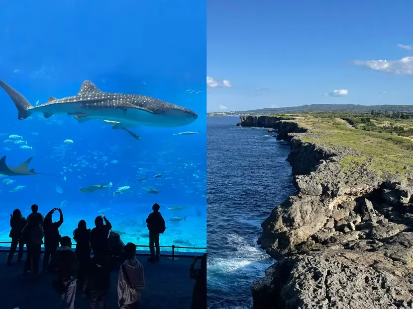 Cẩm nang du lịch Okinawa: Những điểm tham quan, hoạt động và ăn uống tại tỉnh cực nam của Nhật Bản