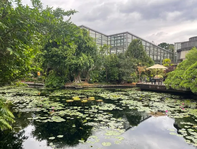 Trung tâm Tropical Dream của Công viên Ocean Expo có ba nhà kính trưng bày hơn 2.000 loài hoa lan.