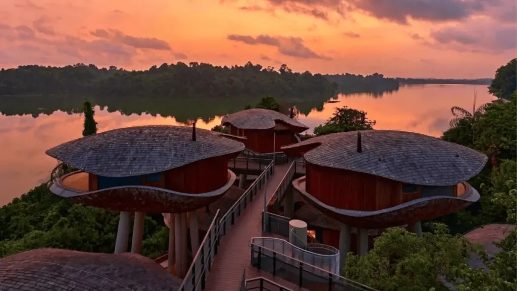 Hệ thống "nhà trên cây" phục vụ mục đích lưu trú cho các nhóm du khách MICE tại Mandai Rainforest Resort