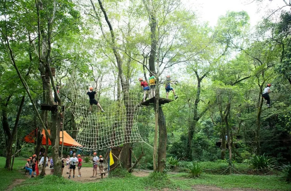 Trò chơi liên hoàn trên cây ở Ozo Park