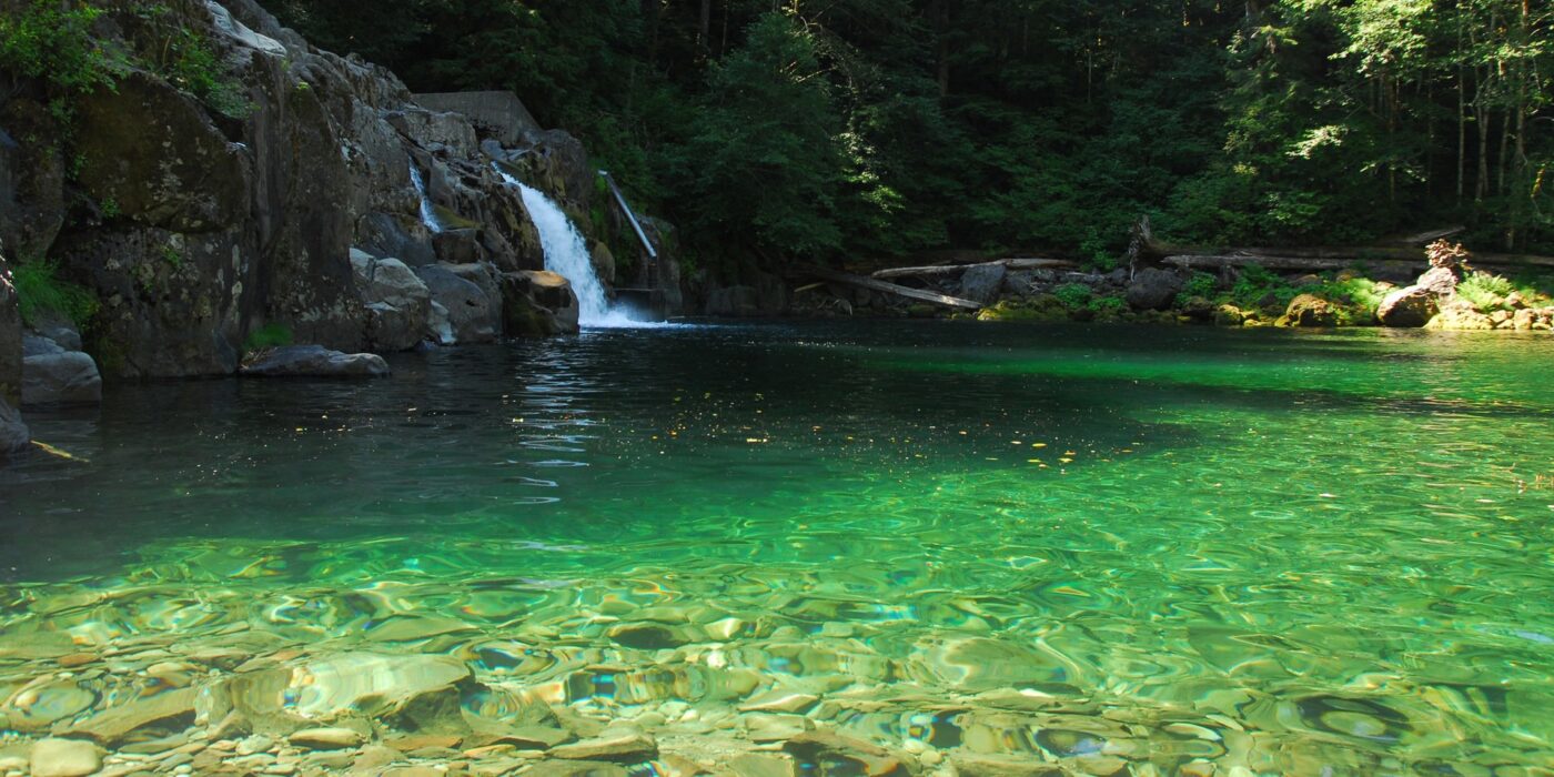 Bạn có thể trải nghiệm câu cá ở Salmon Falls