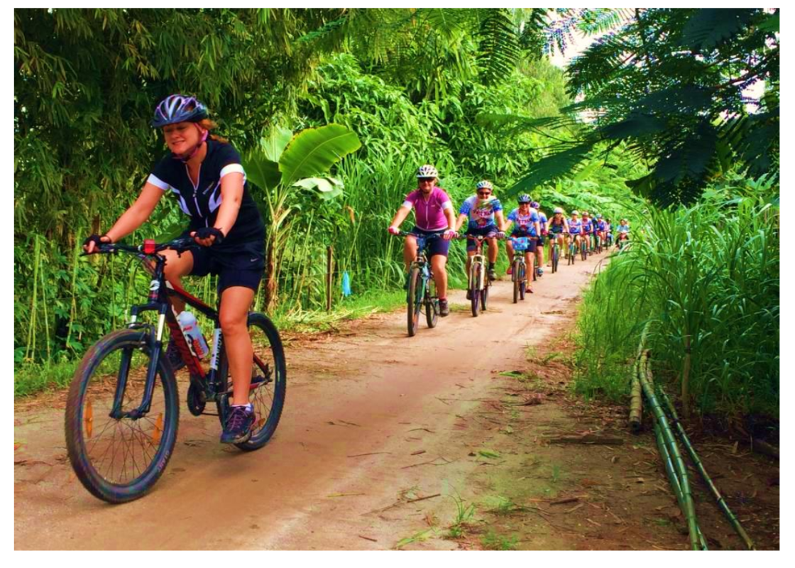 Đạp xe khám phá xung quanh toàn bộ Hội An