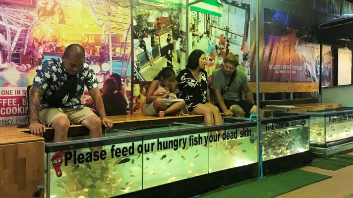 mát xa bằng cá ở chợ đêm Siem Reap