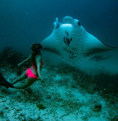 10 bước thực hiện để tiết kiệm trong chuyến du lịch Maldives