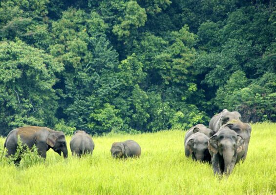 16 Điểm du lịch được xếp hạng hàng đầu ở Thái Lan