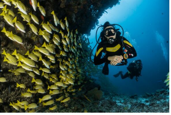 37 điều thú vị để làm ở Phuket - Các hoạt động thú vị và khác thường