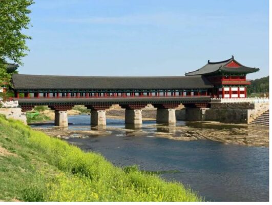 Hành trình du lịch Hàn Quốc 7 ngày cho người mới