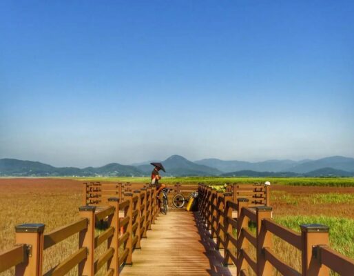 Mọi điều bạn cần biết để đi du lịch Hàn Quốc giá rẻ