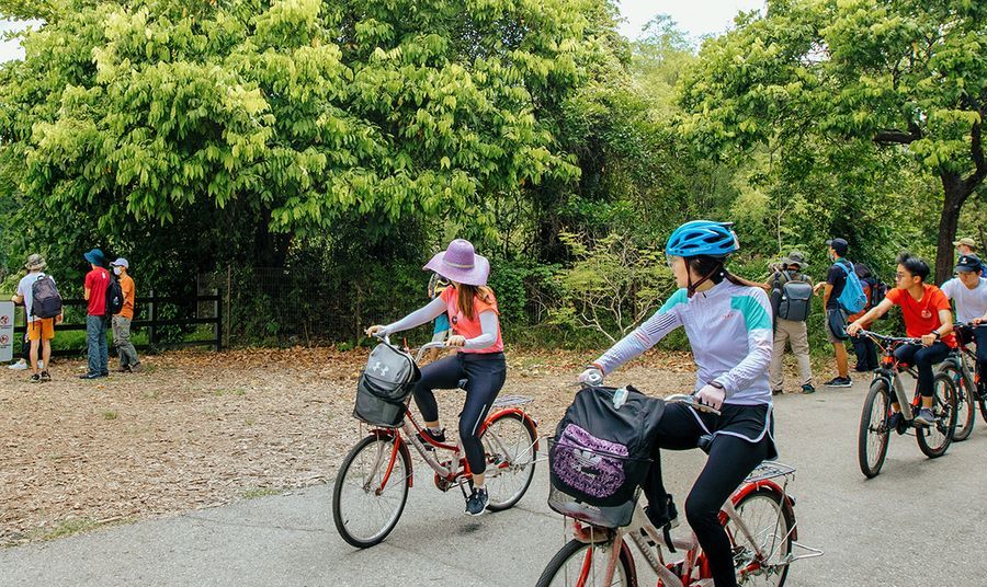 Pulau Ubin là câu trả lời của Singapore cho Rottnest, với xe đạp là phương tiện giao thông duy nhất