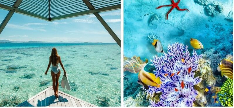 Tất cả những gì du khách có thể tự do làm ở Maldives