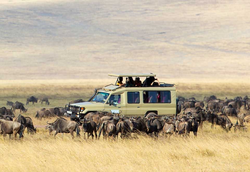 Vườn quốc gia Serengeti, Tanzania