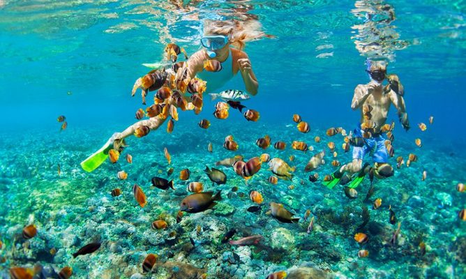 Bookt tour Maldives để trả nghiệm các hoạt động thú vị