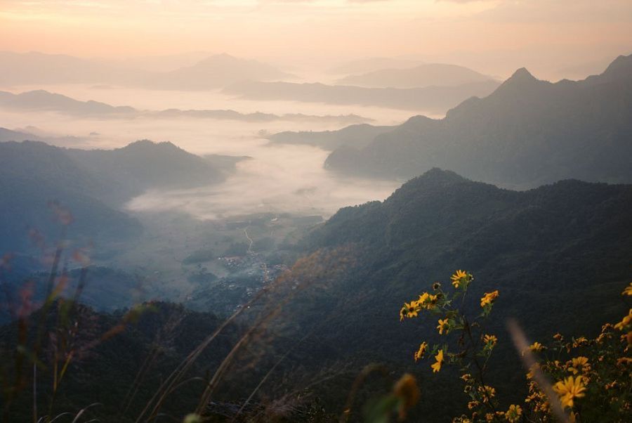 Biển sương mù và bình minh từ Phu Chi Fa