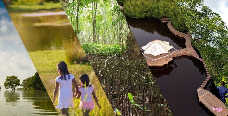 06 Khu vực sinh thái giàu có ở Maldives và thân thiện với thiên nhiên