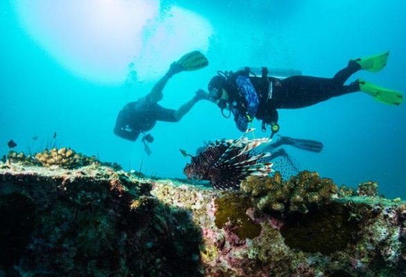 5 địa điểm hàng đầu để lặn với ống thở và lặn quanh Phuket, Thái Lan