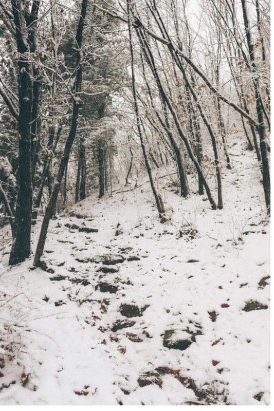 Các địa điểm tham quan ở Seoul trong mùa đông: Núi Yongma