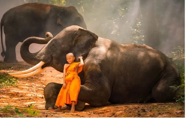 Du lịch Thái Lan 10 ngày không rượu bia ở Phuket, Krabi, Chiang Mai và Koh Samui