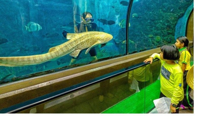 Hoạt động giải trí vào một ngày mưa ở Phuket