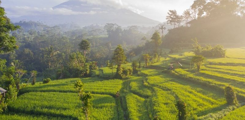 Hướng dẫn du lịch Bali: 6 điều độc đáo cần làm