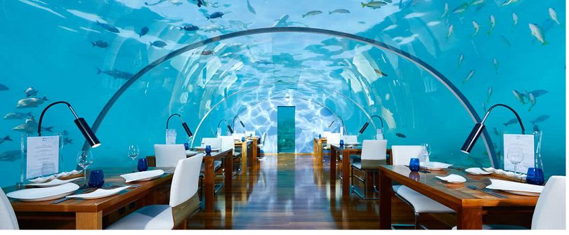 Và đương nhiên rồi, hình ảnh bàn ăn này của Conrad Maldives Rangali sẽ làm bạn cảm thấy như đang ở thiên đường vậy