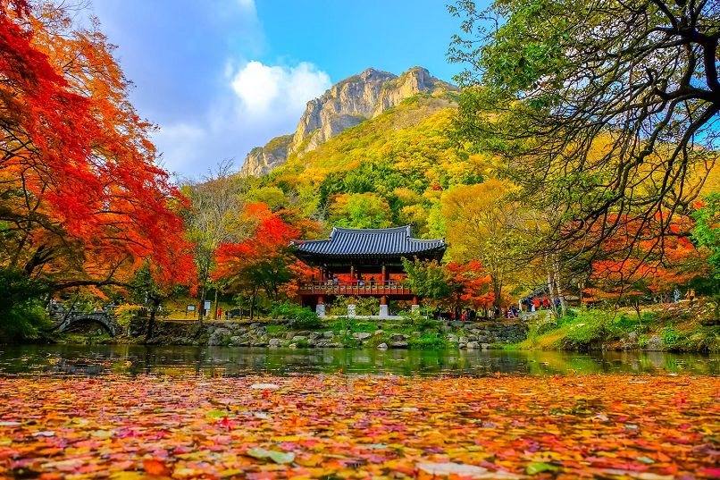 20 địa điểm tốt nhất để du lịch ở Hàn Quốc