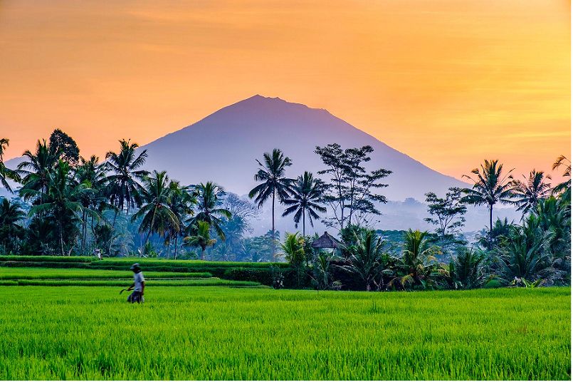37 Địa điểm Tốt nhất để du lịch ở Indonesia
