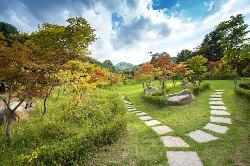 Cảnh thiên nhiên có rất nhiều trên đảo Namiseom ở Chuncheon