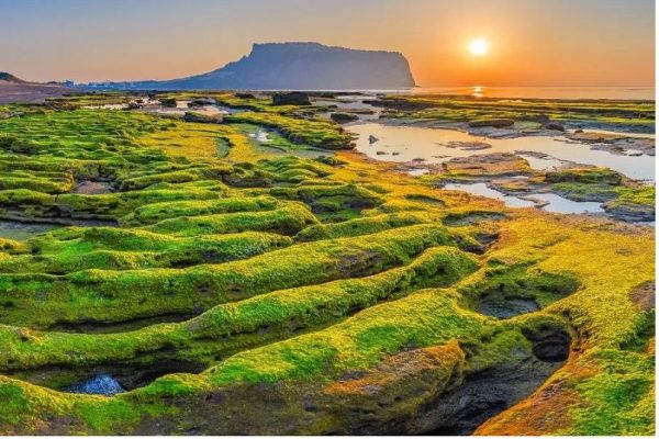 Đảo Jeju là 1 trong 7 địa điểm tốt nhất cho những người du mục kỹ thuật số ở Hàn Quốc