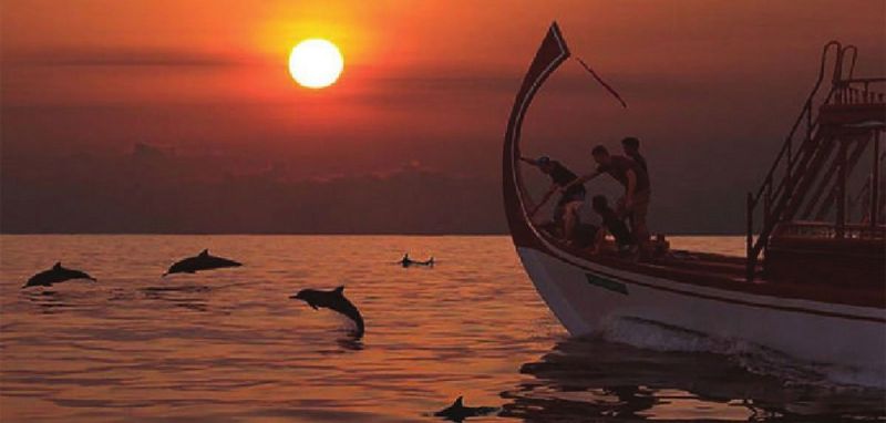 Du thuyền Sunset Dolphin.
