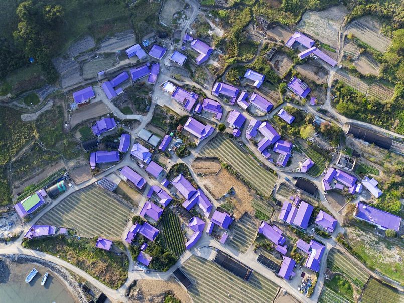 Những ngôi nhà màu tím nhín từ trên cao tại đảo Banwol