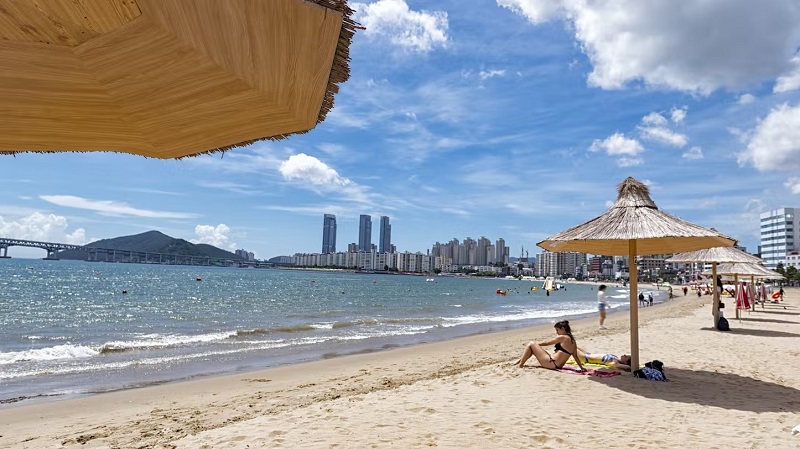 6 bãi biển hàng đầu của Hàn Quốc để ngắm bình minh, lướt sóng, lễ hội và cuộc sống về đêm