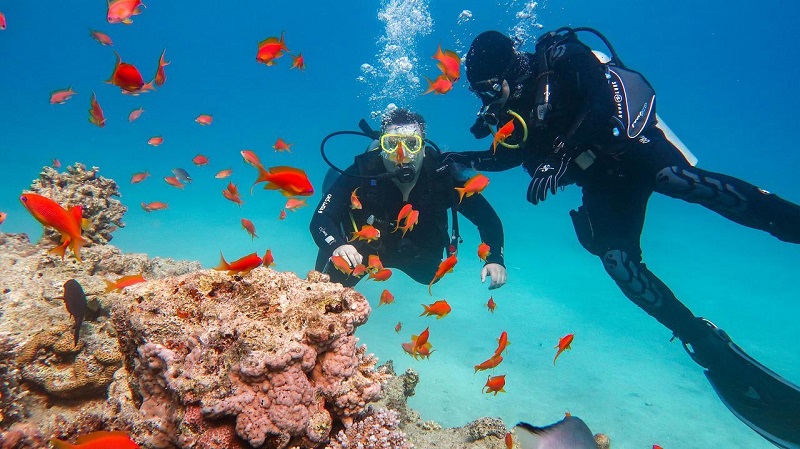 Lặn ở Maldives được coi là hoạt động phổ biến nhất