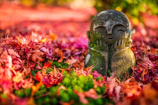 Nhật Bản mở cửa trở lại cho khách du lịch cá nhân